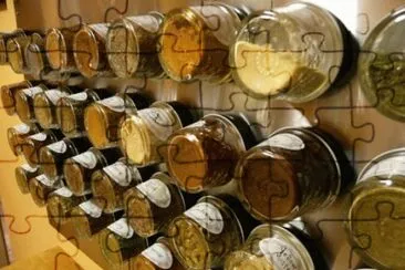 Hierbas aromaticas jigsaw puzzle