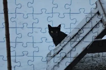 chat dans la neige jigsaw puzzle
