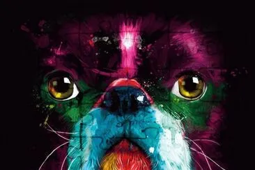 dogcolors