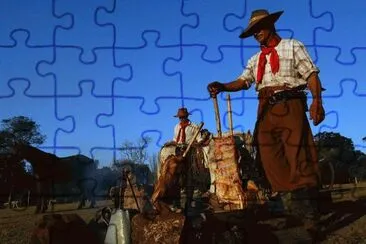 Fotos RS jigsaw puzzle