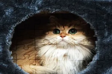 Una Hermosa  Foto De El Gato  Smoothie jigsaw puzzle