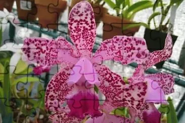 imagens jigsaw puzzle
