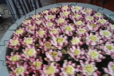 flores jigsaw puzzle
