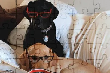 De Un Par De Perros Simulando Leer  Revistas jigsaw puzzle