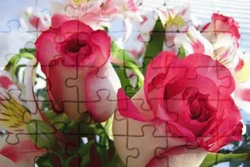 Rosas