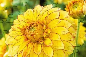 imagens jigsaw puzzle