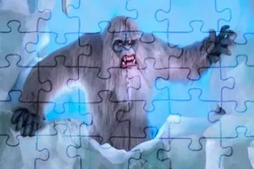30 jigsaw puzzle
