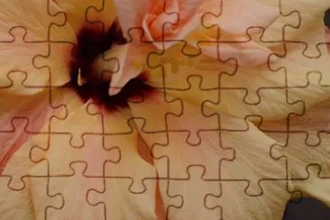 makro jigsaw puzzle