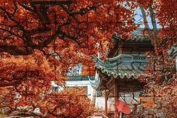 China jigsaw puzzle