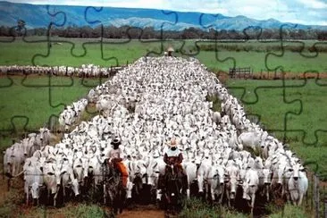 imagens