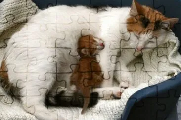 mom#227 jigsaw puzzle