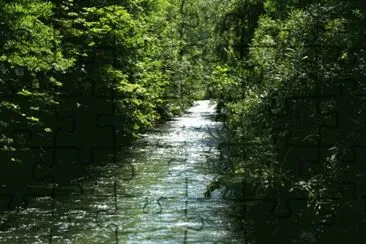 Nel Bosco jigsaw puzzle