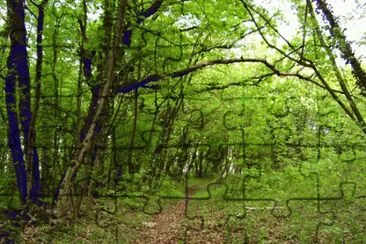 Natura Verde jigsaw puzzle