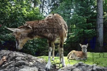 Tierpark Goldau