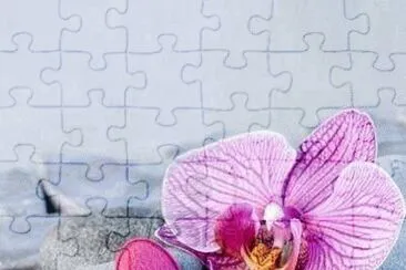 Bunt jigsaw puzzle