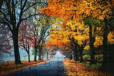 camino otoÃ±al jigsaw puzzle