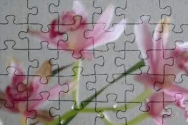 orchidÃ©e jigsaw puzzle