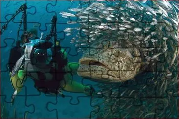 SORPRESA jigsaw puzzle