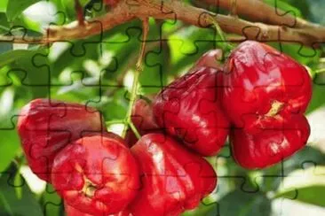 imagens jigsaw puzzle