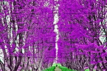 imagens jigsaw puzzle