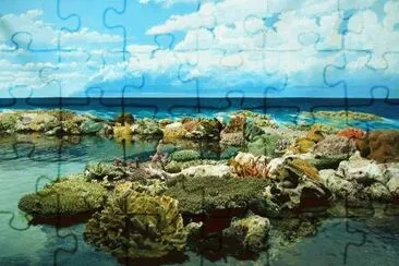Pinturas jigsaw puzzle