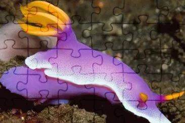 animal jigsaw puzzle