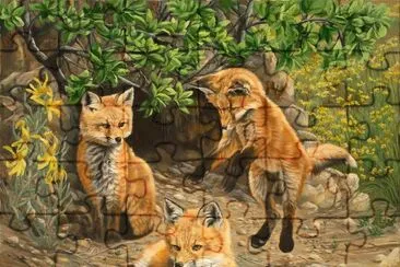raposas
