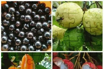 Frutas