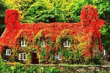 152 jigsaw puzzle