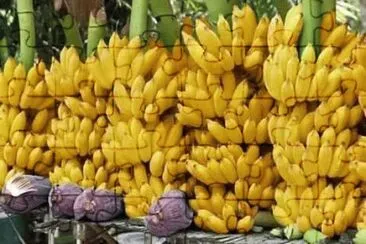 Bananas