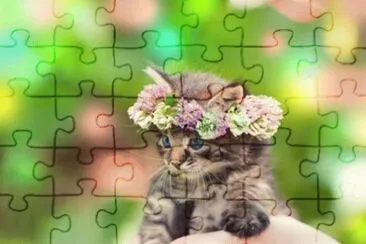 nov15 jigsaw puzzle