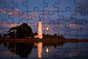 nov16 jigsaw puzzle