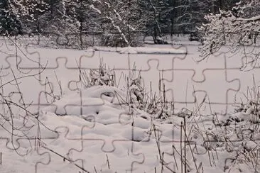 winter am teich jigsaw puzzle