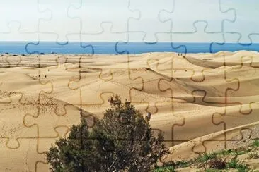 dunas maspalomas jigsaw puzzle