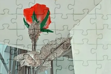 la rose