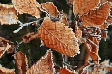 herbst jigsaw puzzle