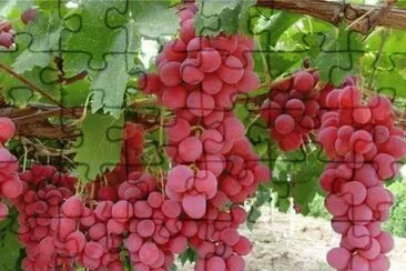 imagens jigsaw puzzle