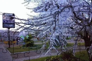 imagens