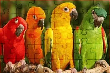 LOROS ATENTOS
