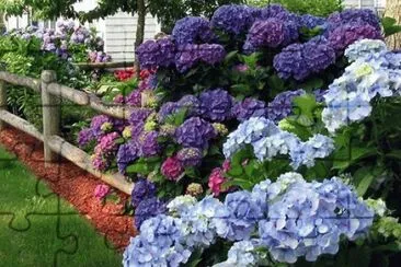 imagens jigsaw puzzle