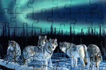 פאזל של LOBOS