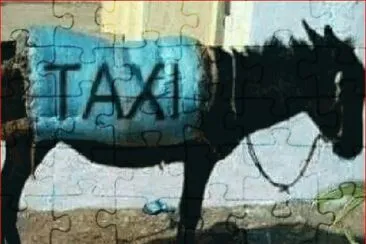 BURROTAXI
