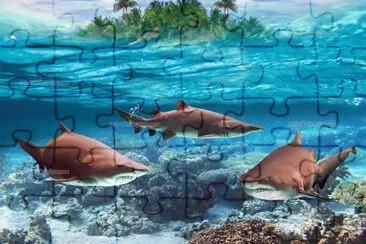 33- jigsaw puzzle