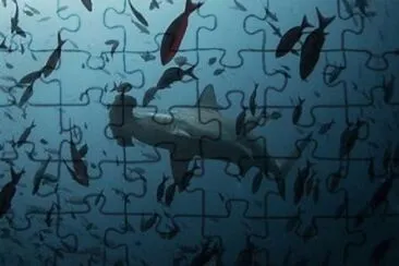 35- jigsaw puzzle