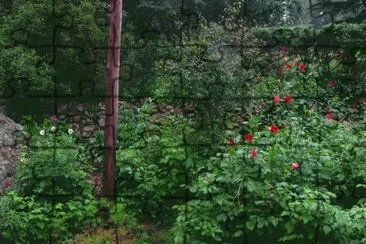 En Calamuchita. CÃ³rdoba. Argentina