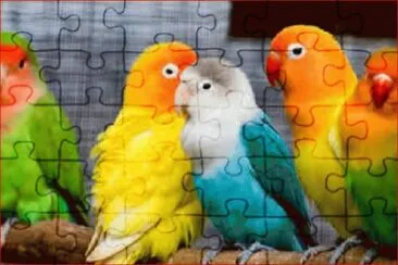 COTORREANDO jigsaw puzzle