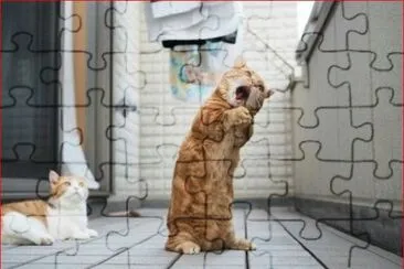 ORACION DEL GATO jigsaw puzzle
