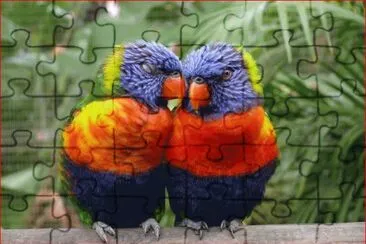 EL SECRETO DEL LORO jigsaw puzzle