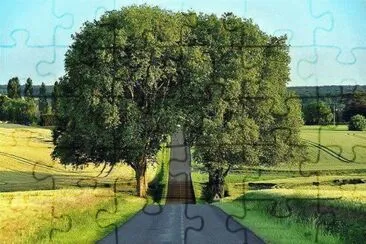 imagens jigsaw puzzle