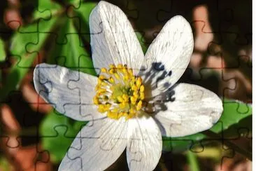 FrÃ¼hling